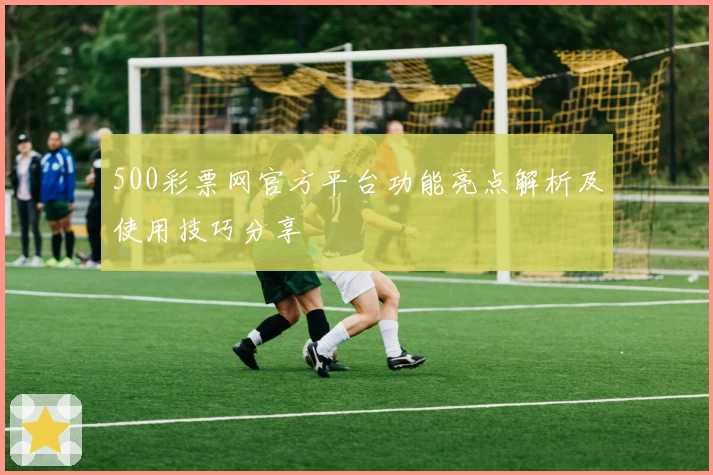 500彩票网官方平台功能亮点解析及使用技巧分享